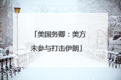 美国务卿：美方未参与打击伊朗