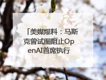 美媒爆料：马斯克曾试图阻止OpenAI首席执行官奥尔特曼在中东的AI交易