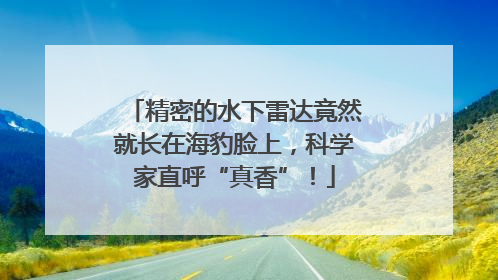 精密的水下雷达竟然就长在海豹脸上，科学家直呼“真香”！