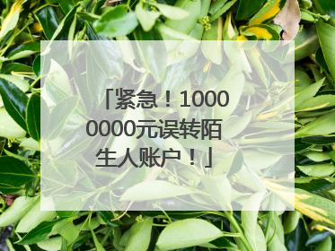 紧急！10000000元误转陌生人账户！