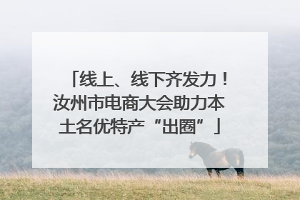 线上、线下齐发力！汝州市电商大会助力本土名优特产“出圈”