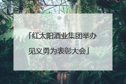 红太阳酒业集团举办见义勇为表彰大会