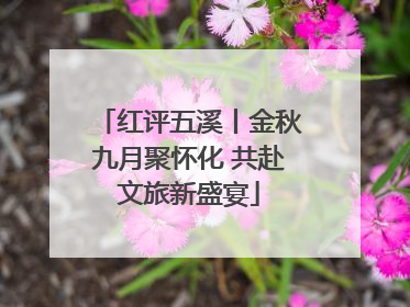 红评五溪丨金秋九月聚怀化 共赴文旅新盛宴