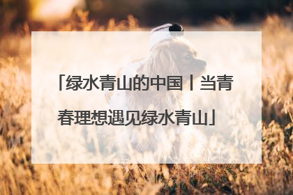 绿水青山的中国丨当青春理想遇见绿水青山