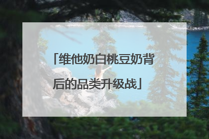 维他奶白桃豆奶背后的品类升级战