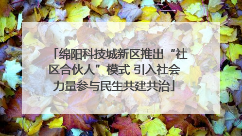 绵阳科技城新区推出“社区合伙人”模式 引入社会力量参与民生共建共治