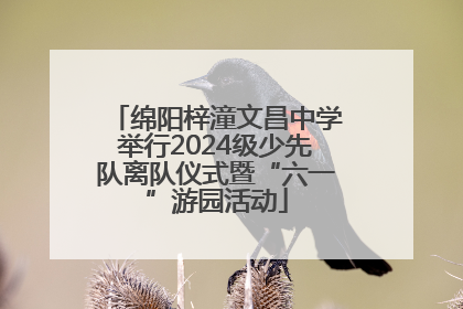 绵阳梓潼文昌中学举行2024级少先队离队仪式暨“六一”游园活动