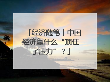 经济随笔丨中国经济靠什么“顶住了压力”？