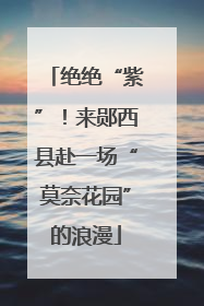 绝绝“紫”！来郧西县赴一场“莫奈花园”的浪漫