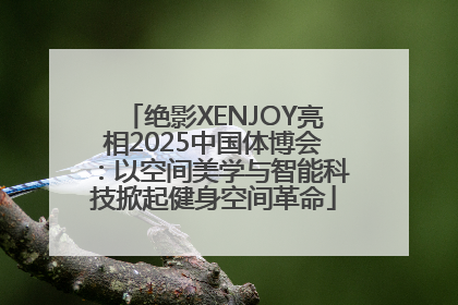 绝影XENJOY亮相2025中国体博会：以空间美学与智能科技掀起健身空间革命