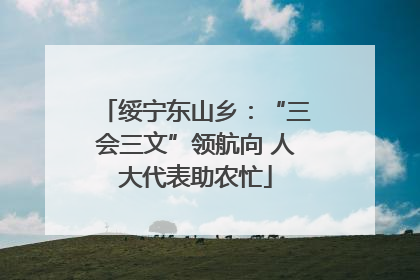 绥宁东山乡：“三会三文”领航向 人大代表助农忙