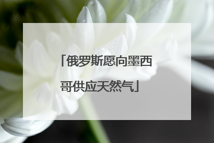 俄罗斯愿向墨西哥供应天然气