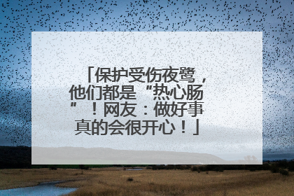 保护受伤夜鹭，他们都是“热心肠”！网友：做好事真的会很开心！