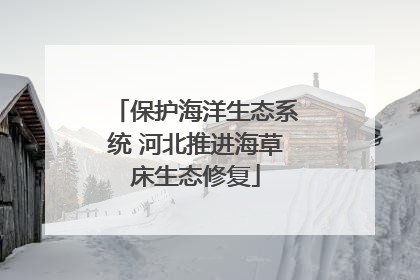 保护海洋生态系统 河北推进海草床生态修复