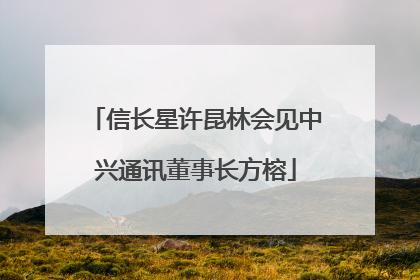 信长星许昆林会见中兴通讯董事长方榕