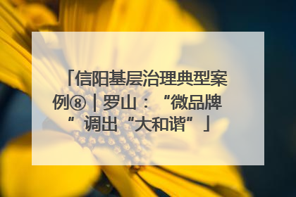 信阳基层治理典型案例⑧｜罗山：“微品牌”调出“大和谐”