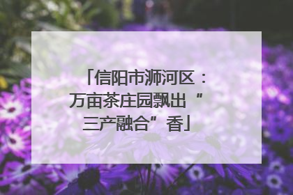 信阳市浉河区：万亩茶庄园飘出“三产融合”香