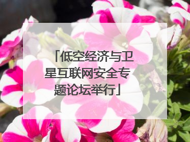 低空经济与卫星互联网安全专题论坛举行