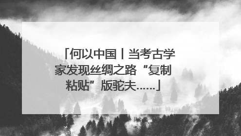 何以中国丨当考古学家发现丝绸之路“复制粘贴”版驼夫……