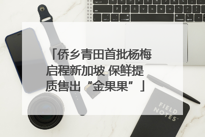 侨乡青田首批杨梅启程新加坡 保鲜提质售出“金果果”