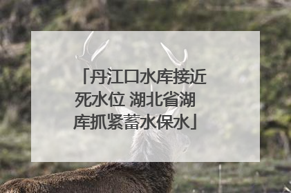 丹江口水库接近死水位 湖北省湖库抓紧蓄水保水