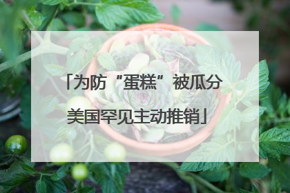 为防“蛋糕”被瓜分 美国罕见主动推销
