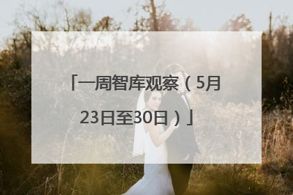 一周智库观察（5月23日至30日）