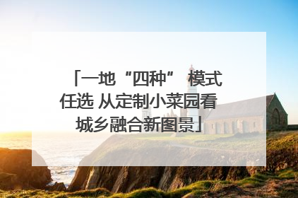 一地“四种” 模式任选 从定制小菜园看城乡融合新图景
