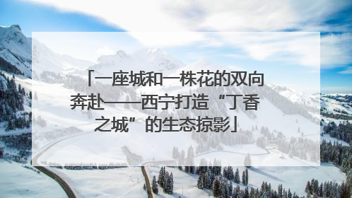 一座城和一株花的双向奔赴——西宁打造“丁香之城”的生态掠影