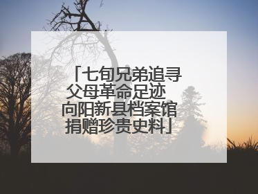 七旬兄弟追寻父母革命足迹 向阳新县档案馆捐赠珍贵史料