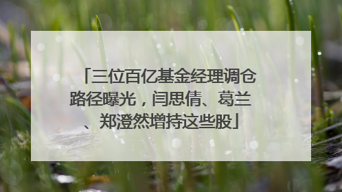 三位百亿基金经理调仓路径曝光，闫思倩、葛兰、郑澄然增持这些股