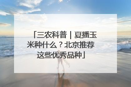 三农科普｜夏播玉米种什么？北京推荐这些优秀品种