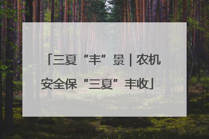 三夏“丰”景｜农机安全保“三夏”丰收