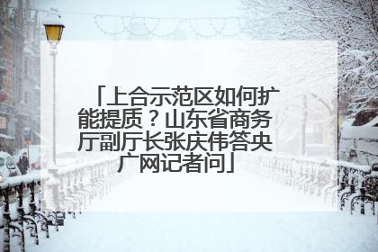 上合示范区如何扩能提质？山东省商务厅副厅长张庆伟答央广网记者问