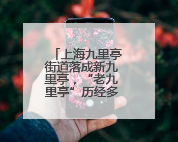上海九里亭街道落成新九里亭，“老九里亭”历经多次重建搬迁