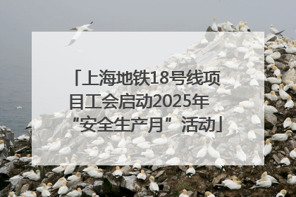 上海地铁18号线项目工会启动2025年“安全生产月”活动