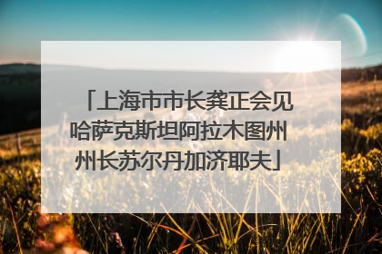 上海市市长龚正会见哈萨克斯坦阿拉木图州州长苏尔丹加济耶夫