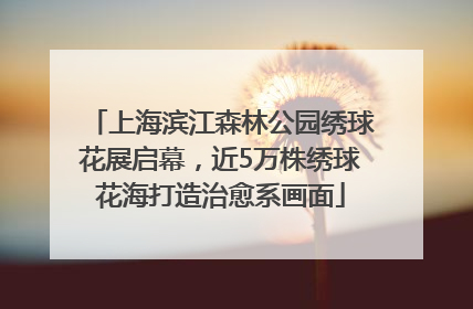 上海滨江森林公园绣球花展启幕，近5万株绣球花海打造治愈系画面