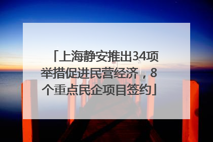 上海静安推出34项举措促进民营经济，8个重点民企项目签约