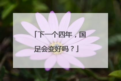 下一个四年，国足会变好吗？