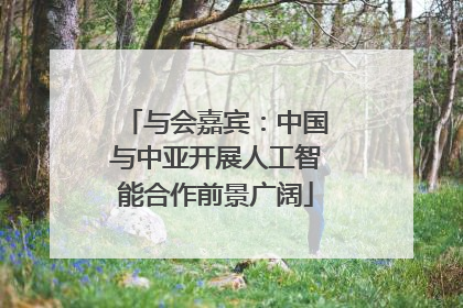 与会嘉宾：中国与中亚开展人工智能合作前景广阔