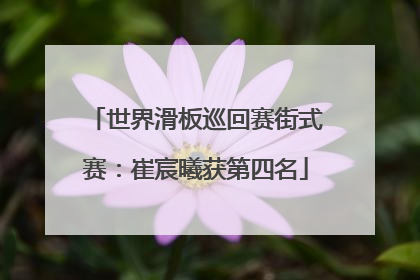 世界滑板巡回赛街式赛：崔宸曦获第四名