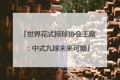 世界花式撞球协会主席：中式九球未来可期