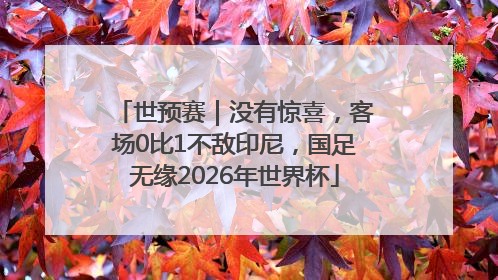 世预赛｜没有惊喜，客场0比1不敌印尼，国足无缘2026年世界杯