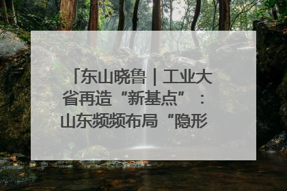 东山晓鲁｜工业大省再造“新基点”：山东频频布局“隐形冠军”背后