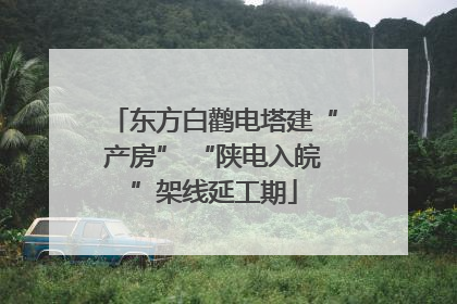东方白鹳电塔建“产房” “陕电入皖”架线延工期