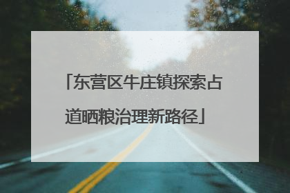 东营区牛庄镇探索占道晒粮治理新路径