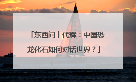 东西问丨代辉：中国恐龙化石如何对话世界？