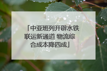 中亚班列开辟水铁联运新通道 物流综合成本降四成