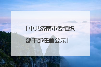 中共济南市委组织部干部任前公示